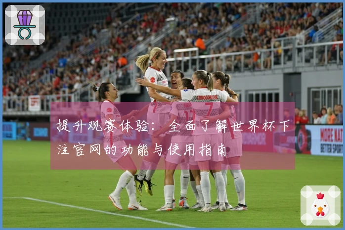 提升观赛体验：全面了解世界杯下注官网的功能与使用指南