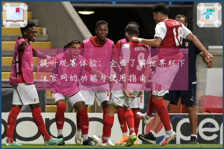 提升观赛体验：全面了解世界杯下注官网的功能与使用指南