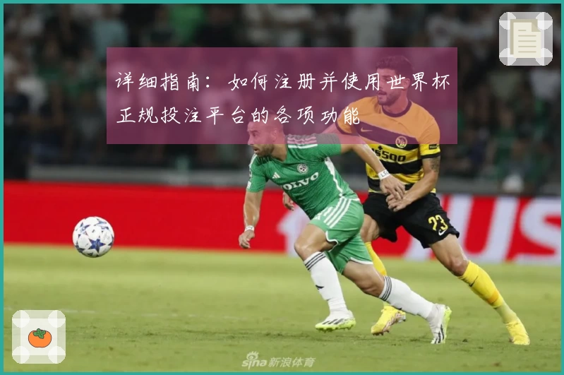 详细指南：如何注册并使用世界杯正规投注平台的各项功能