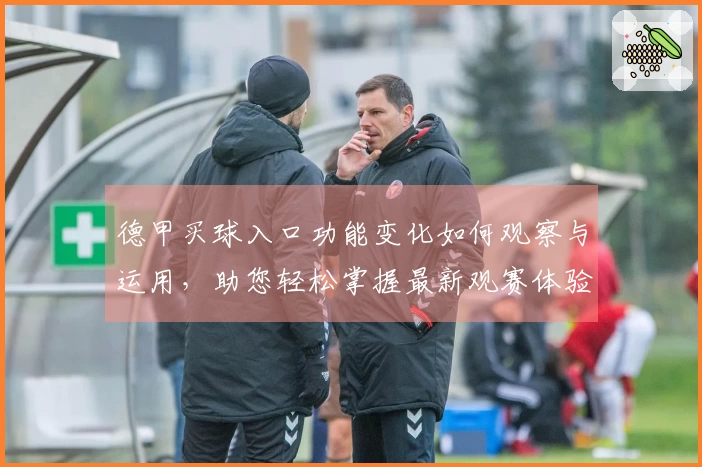 德甲买球入口功能变化如何观察与运用，助您轻松掌握最新观赛体验