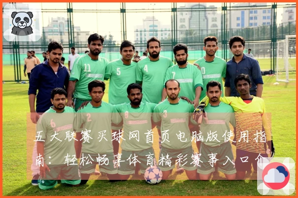 五大联赛买球网首页电脑版使用指南：轻松畅享体育精彩赛事入口介绍