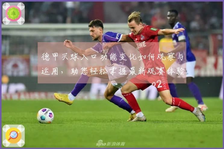 德甲买球入口功能变化如何观察与运用，助您轻松掌握最新观赛体验