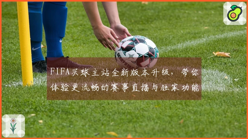 FIFA买球主站全新版本升级，带你体验更流畅的赛事直播与独家功能